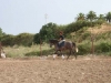 urlaub_06 198
